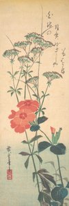 Garofani superbi e agrimonia cinese, ca. 1836 da Ando Hiroshige