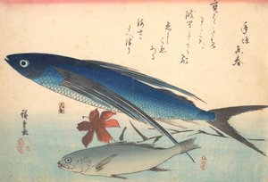 Tobiuo e pesce Ishimochi, dalla serie Uozukushi Ogni varietà di pesce da Ando Hiroshige