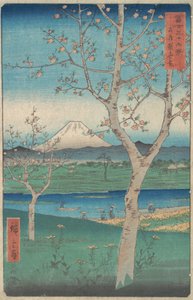 Vista del Monte Fuji da Koshigaya, Provincia di Musashi, 4° mese, anno del Cavallo 1858