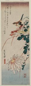 Sylvia e crisantemi, metà 1830 da Ando Hiroshige
