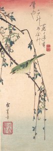 Warbler su un ramo di prugna da Ando Hiroshige