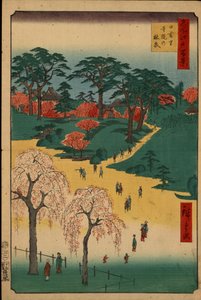 Cento vedute famose di Edo: i giardini del tempio a Nippori da Ando or Utagawa Hiroshige