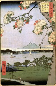 Massaki e il bosco di Suijin lungo il fiume Sumida (centoventi vedute famose di Edo) da Ando or Utagawa Hiroshige