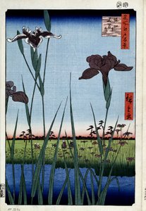 Cento vedute famose di Edo: iris a Horikiri da Ando or Utagawa Hiroshige