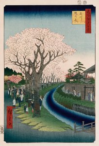 Fiori di ciliegio, argine del fiume Tama da Ando or Utagawa Hiroshige