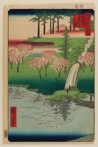 Stagno di Chiyogaike, Meguro