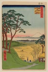 Casa da tè del nonno, Meguro