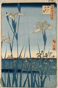 Giardino degli Iris di Horikiri da Ando or Utagawa Hiroshige