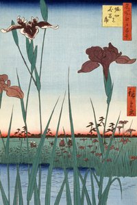 Giardino degli iris di Horikiri di Utagawa Hiroshige da Ando or Utagawa Hiroshige