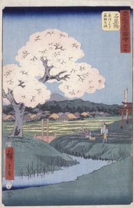 Ishiyakushi da Ando or Utagawa Hiroshige