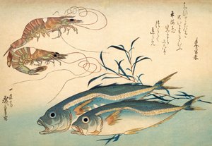 Sgombro giapponese e gambero giapponese da Ando or Utagawa Hiroshige