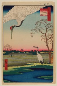 Minowa, Kanasugi, Mikawashima