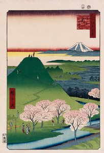 Nuovo Fuji, Meguro, dalla serie Cento Vedute di Luoghi Famosi di Edo da Ando or Utagawa Hiroshige