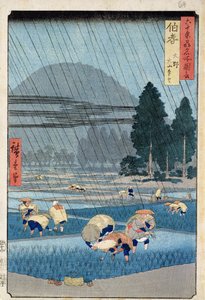 Piantagione di riso nella provincia di Hoki con una vista lontana di O-Yama da Ando or Utagawa Hiroshige