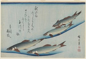 Scuola di cinque trote di mare, periodo Edo da Ando or Utagawa Hiroshige