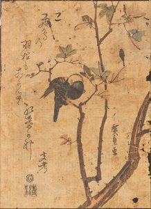 Studio di un uccello addormentato su un ramo da Ando or Utagawa Hiroshige