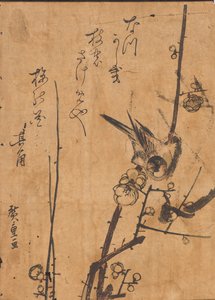 Studio di Uccello su un Ramo da Ando or Utagawa Hiroshige