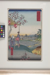 Teahouse con vista del Monte Fuji a Zōshigaya da Ando or Utagawa Hiroshige