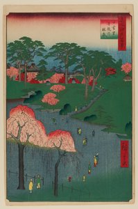 Giardini del Tempio, Nippori