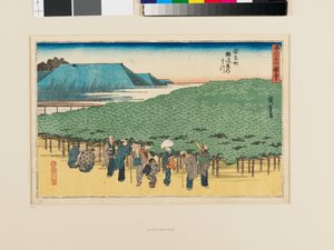 Il pino Naniwa ad Adachi-chō da Ando or Utagawa Hiroshige