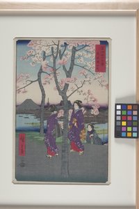 La riva del Sumida nella capitale orientale (Tōto: Sumida Tei)