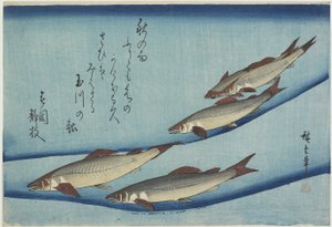 Trota da Ando or Utagawa Hiroshige