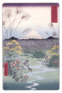Pianura di Ōtsuki nella provincia di Kai da Ando or Utagawa Hiroshige