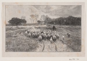 Paesaggio con pecore e pastore da André Bork