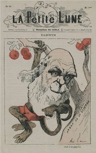 Darwin come scimmia su La Petite Lune da Andre Gill