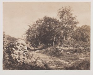 Senza titolo (Scena di Fontainbleau) da André Giroux