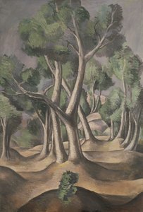 Il boschetto da Andre Derain