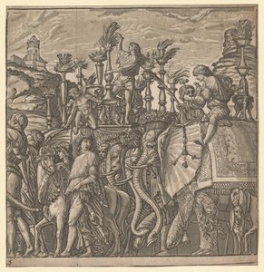 Il trionfo di Giulio Cesare: Elefanti che portano torce da Andrea Andreani