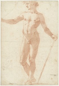 Modello maschile nudo in piedi
