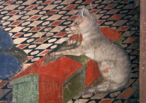 Duomo di Atri, gatto da Andrea Delitio