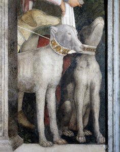 Cani Molossi (dettaglio)
