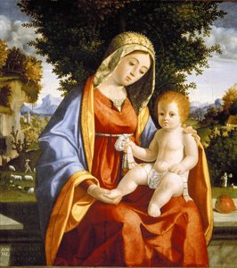 Madonna con bambino in un paesaggio da Andrea Previtali