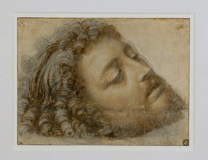 Testa di San Giovanni Battista ... da Andrea Solario