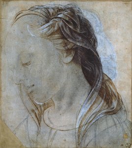 Testa femminile