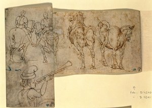 Schizzo di Cavalli, c. 1460-70 da Andrea Verrocchio