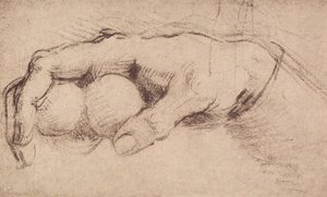Una mano da Andrea del Sarto