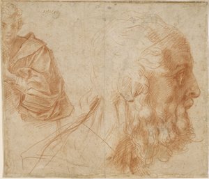 Un giovane e la testa di un vecchio Omero. Studio, ca 1521 da Andrea del Sarto