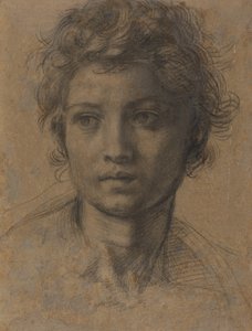 Testa di San Giovanni Battista da Andrea del Sarto