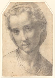 Testa di donna