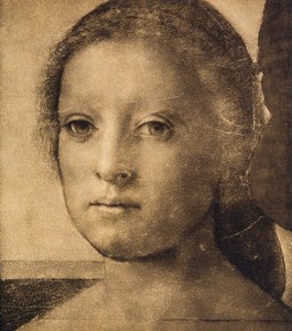 Testa di una giovane donna, disegno di Andrea del Sarto. Gabinetto dei Disegni e delle Stampe, Galleria degli Uffizi, Firenze da Andrea del Sarto