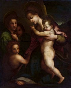 Madonna con Gesù Bambino e San Giovanni da Andrea del Sarto