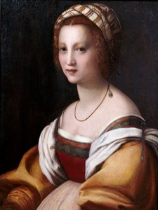 Ritratto di donna da Andrea del Sarto