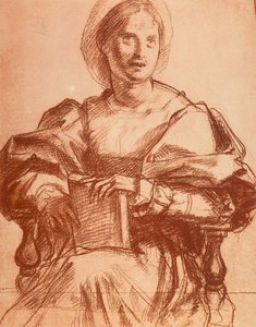 Ritratto di Lucrezia del Fede
