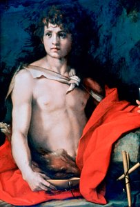 San Giovanni Battista da Andrea del Sarto