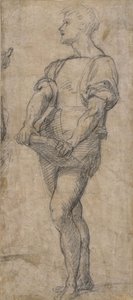 Giovane in piedi con un libro, ca 1515 da Andrea del Sarto