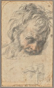 Studio per la testa di San Giuseppe (recto); due studi di gambe (verso) da Andrea del Sarto